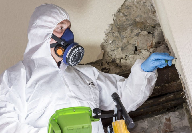 Asbestos Testing Experts: Detecting Environmental Hazards