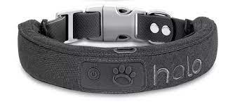 Halo Dog Collar: The Future of Pet Safety