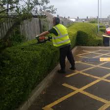 Commercial Grounds Maintenance: London’s Landscaping Pioneers