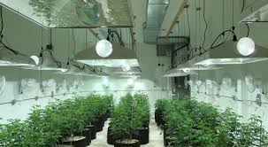 Understanding HVAC System Components for Grow Room Success