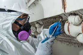 The Impact of Asbestos Surveys on Building Compliance and Safety Standards