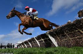 Why Cheltenham Festival Hospitality Tickets Are the Key to Luxury Racing